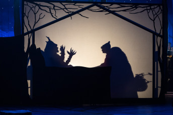 INTO THE WOODS