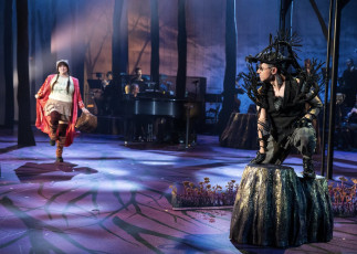 INTO THE WOODS