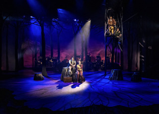 INTO THE WOODS