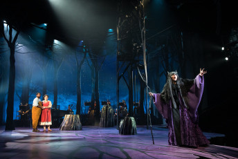 INTO THE WOODS