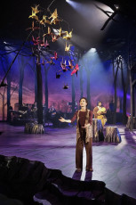 INTO THE WOODS