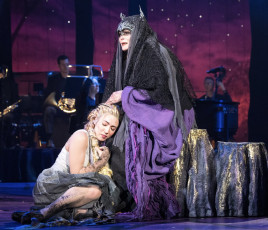 INTO THE WOODS