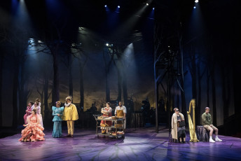 INTO THE WOODS