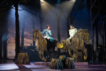 INTO THE WOODS