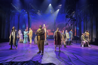 INTO THE WOODS