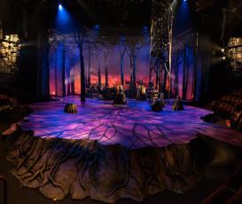 INTO THE WOODS