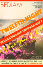 TWELFTH NIGHT or WHAT YOU WILL